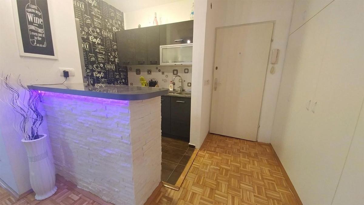 Cezar Apartment ベオグラード エクステリア 写真