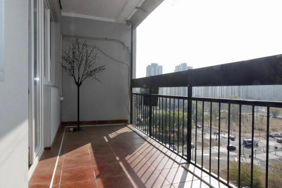 Cezar Apartment ベオグラード エクステリア 写真